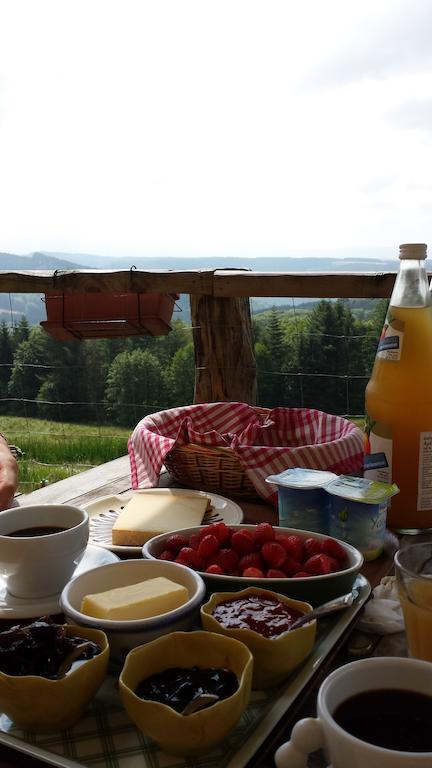 Bed and Breakfast Les Grandes Fontaines La Longine Zewnętrze zdjęcie
